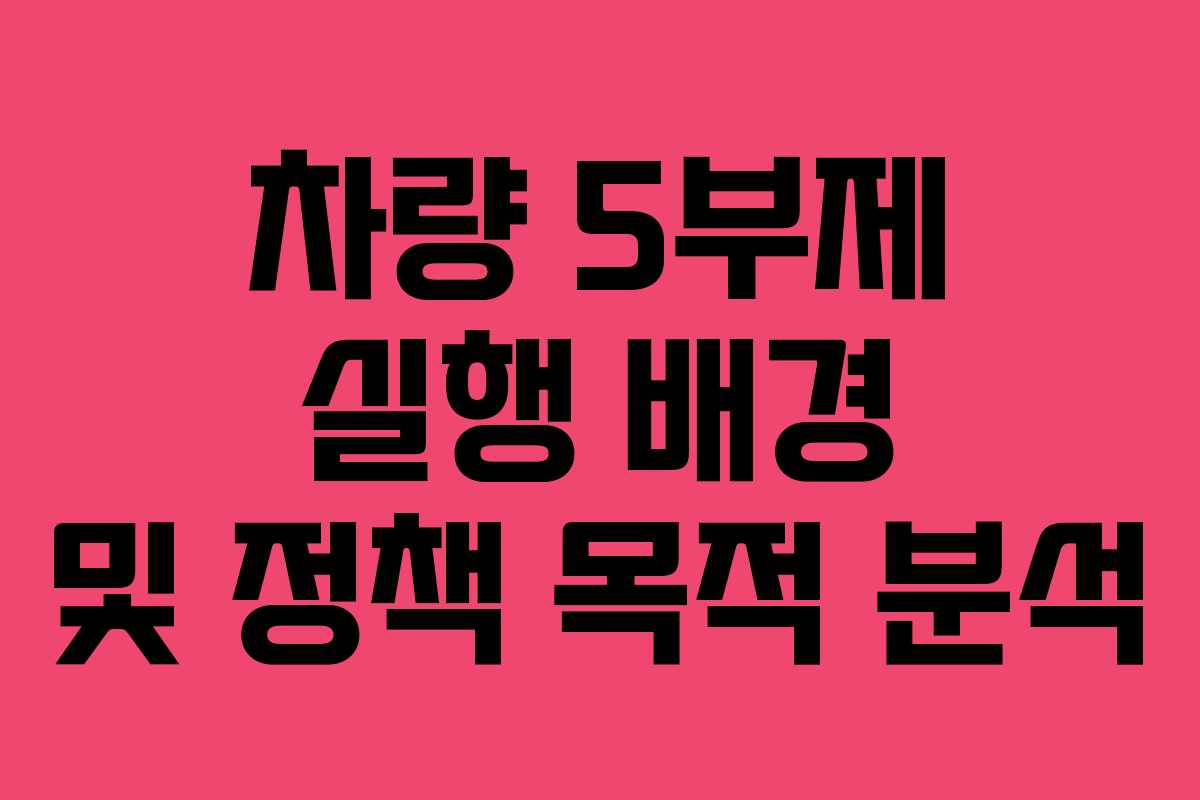 차량 5부제 실행 배경 및 정책 목적 분석