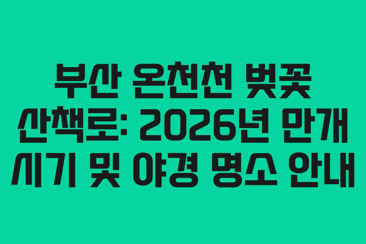 부산 온천천 벚꽃 산책로: 2026년 만개 시기 및 야경 명소 안내