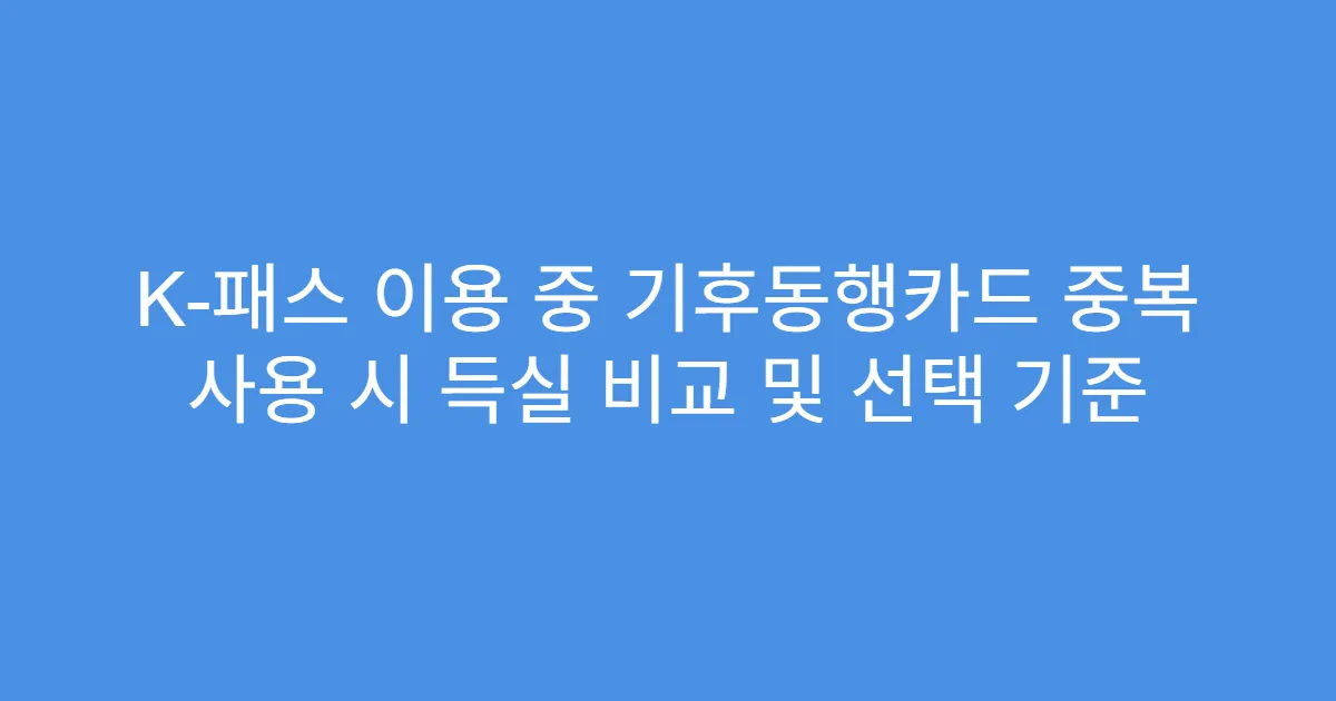 K-패스 이용 중 기후동행카드 중복 사용 시 득실 비교 및 선택 기준