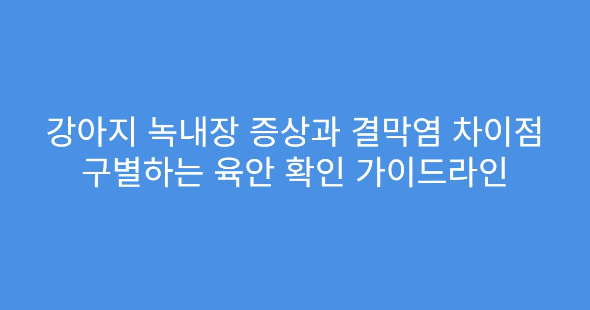 강아지 녹내장 증상과 결막염 차이점 구별하는 육안 확인 가이드라인