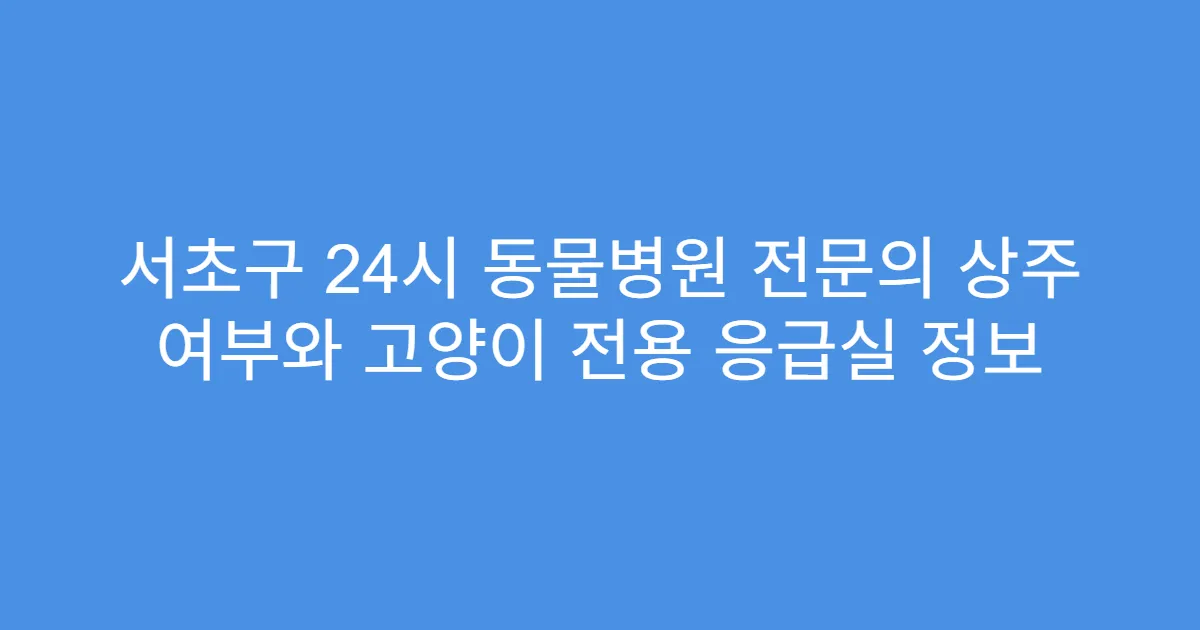 서초구 24시 동물병원 전문의 상주 여부와 고양이 전용 응급실 정보