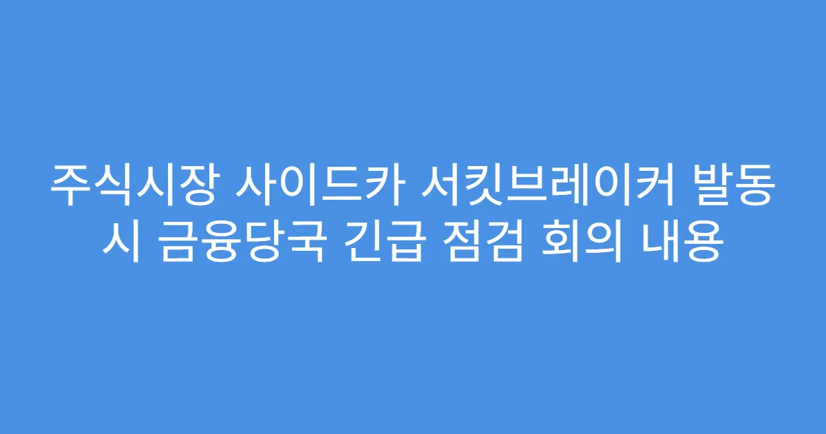 주식시장 사이드카 서킷브레이커 발동 시 금융당국 긴급 점검 회의 내용