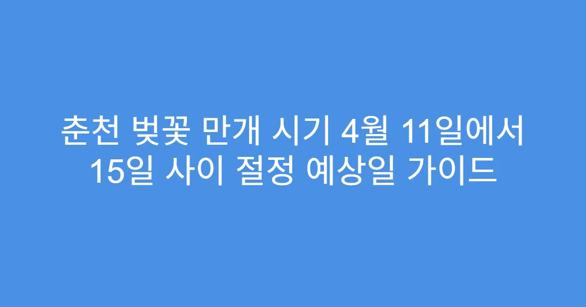 춘천 벚꽃 만개 시기 4월 11일에서 15일 사이 절정 예상일 가이드