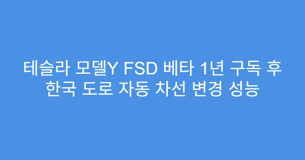 테슬라 모델Y FSD 베타 1년 구독 후 한국 도로 자동 차선 변경 성능