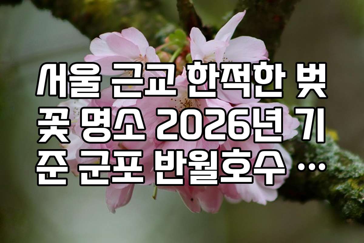 서울 근교 한적한 벚꽃 명소 2026년 기준 군포 반월호수 벚꽃길