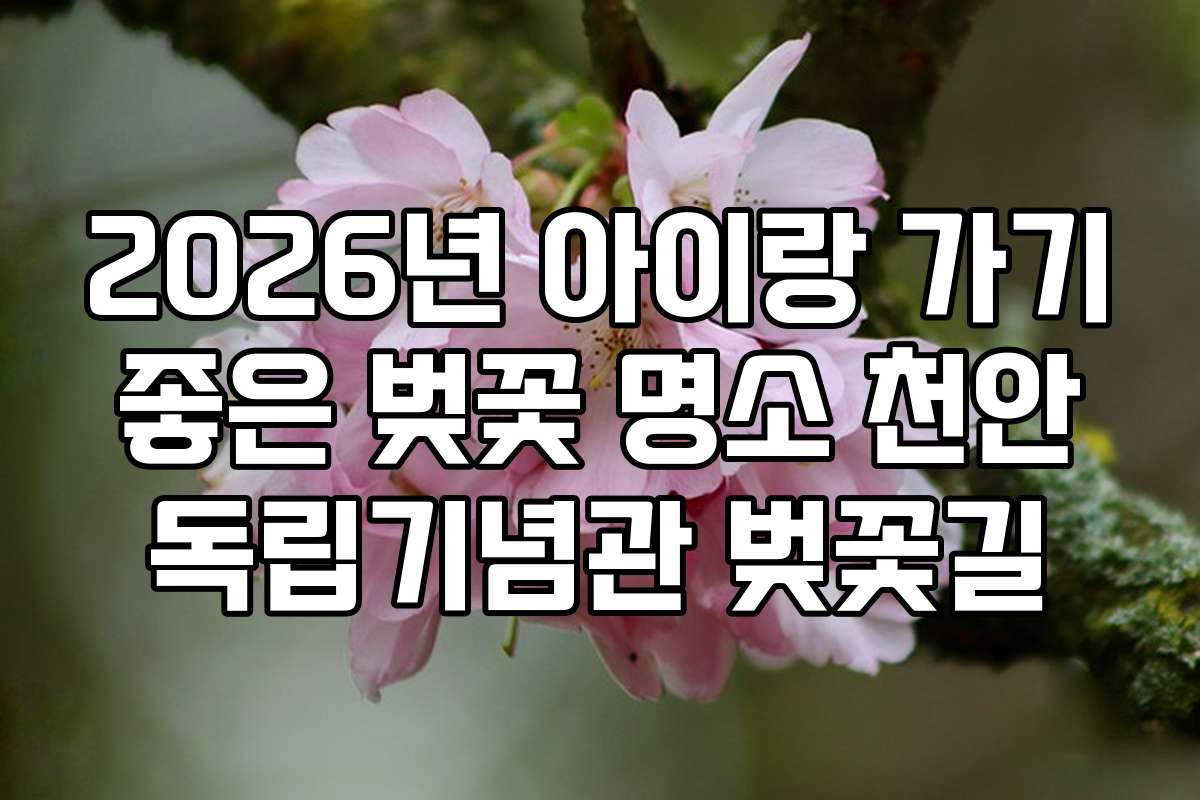 2026년 아이랑 가기 좋은 벚꽃 명소 천안 독립기념관 벚꽃길