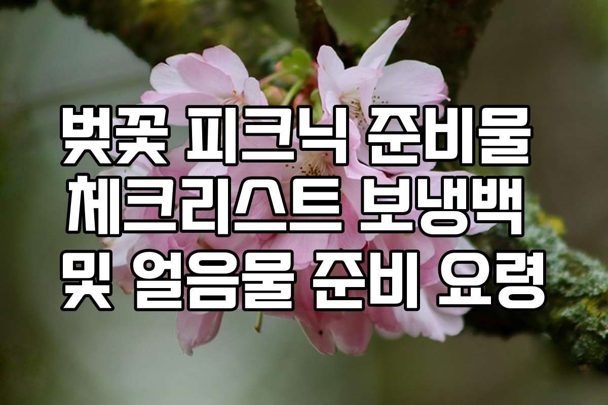 벚꽃 피크닉 준비물 체크리스트 보냉백 및 얼음물 준비 요령