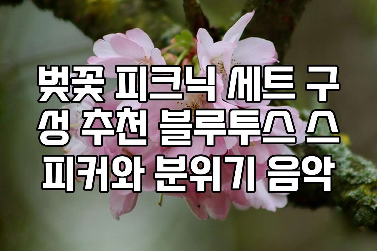 벚꽃 피크닉 세트 구성 추천 블루투스 스피커와 분위기 음악