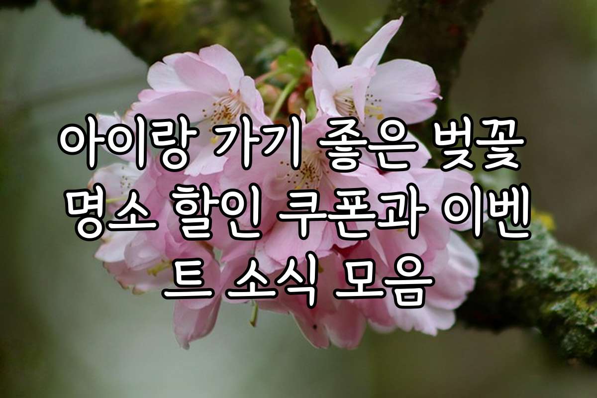 아이랑 가기 좋은 벚꽃 명소 할인 쿠폰과 이벤트 소식 모음