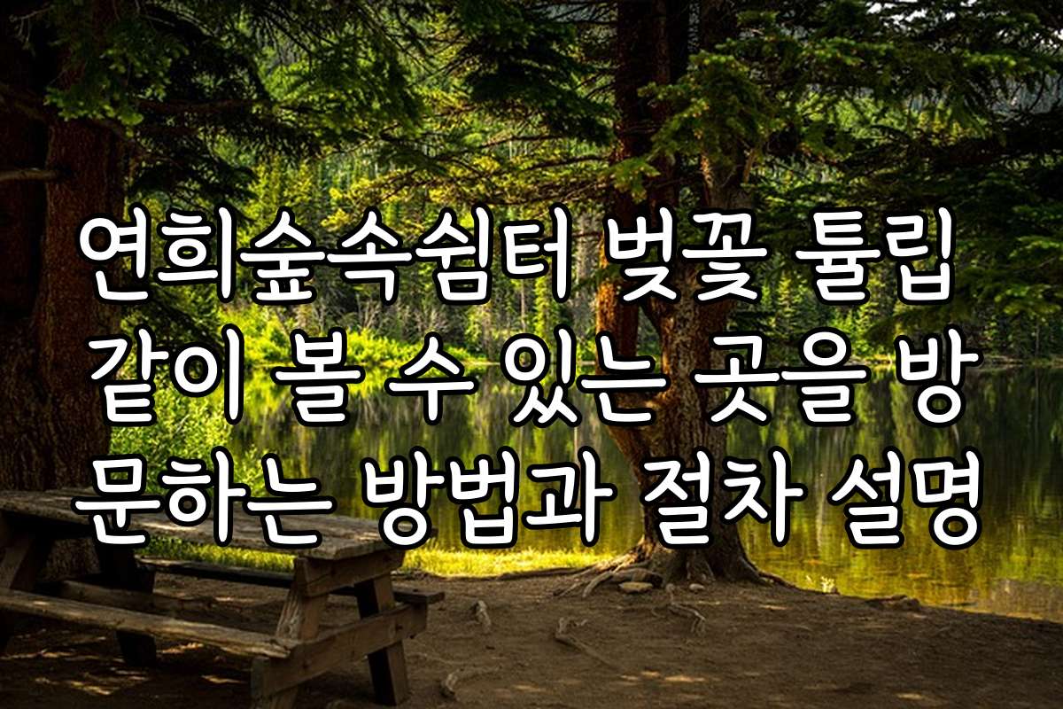 연희숲속쉼터 벚꽃 튤립 같이 볼 수 있는 곳을 방문하는 방법과 절차 설명