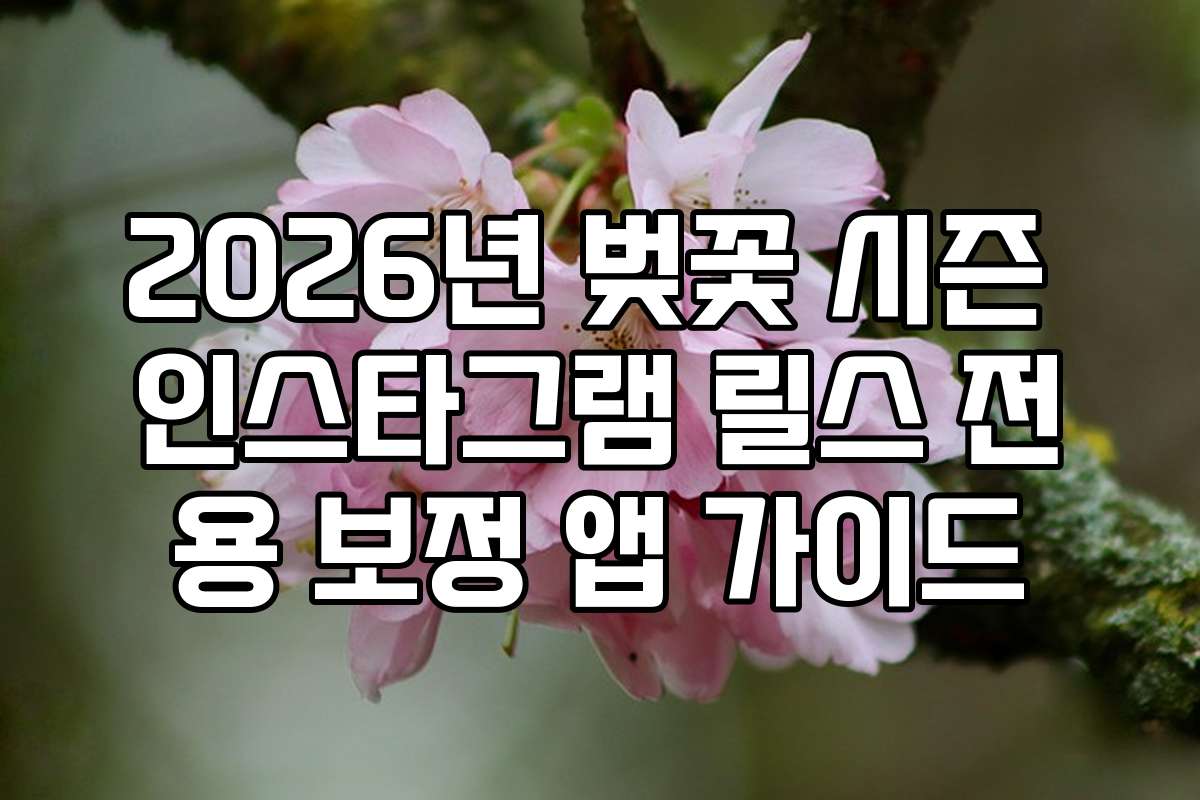2026년 벚꽃 시즌 인스타그램 릴스 전용 보정 앱 가이드