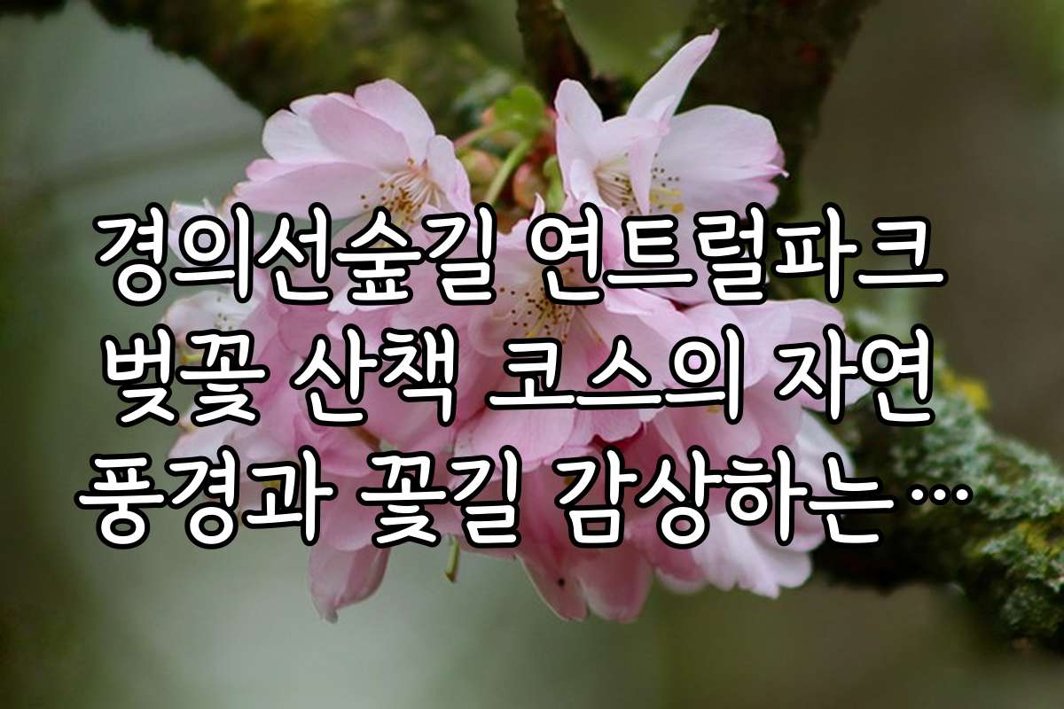 경의선숲길 연트럴파크 벚꽃 산책 코스의 자연 풍경과 꽃길 감상하는 방법