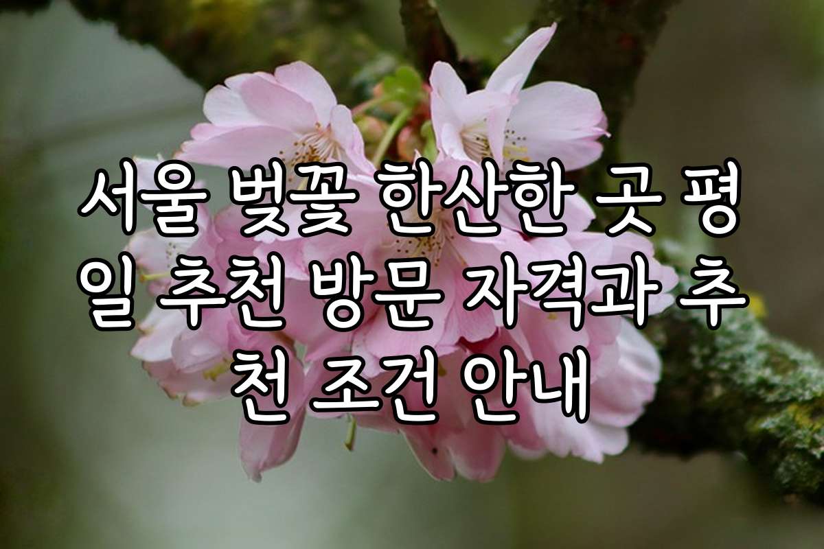 서울 벚꽃 한산한 곳 평일 추천 방문 자격과 추천 조건 안내
