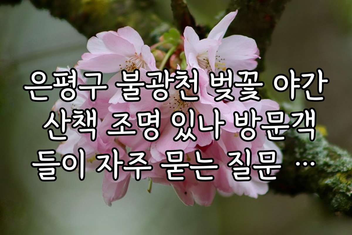 은평구 불광천 벚꽃 야간 산책 조명 있나 방문객들이 자주 묻는 질문 정리