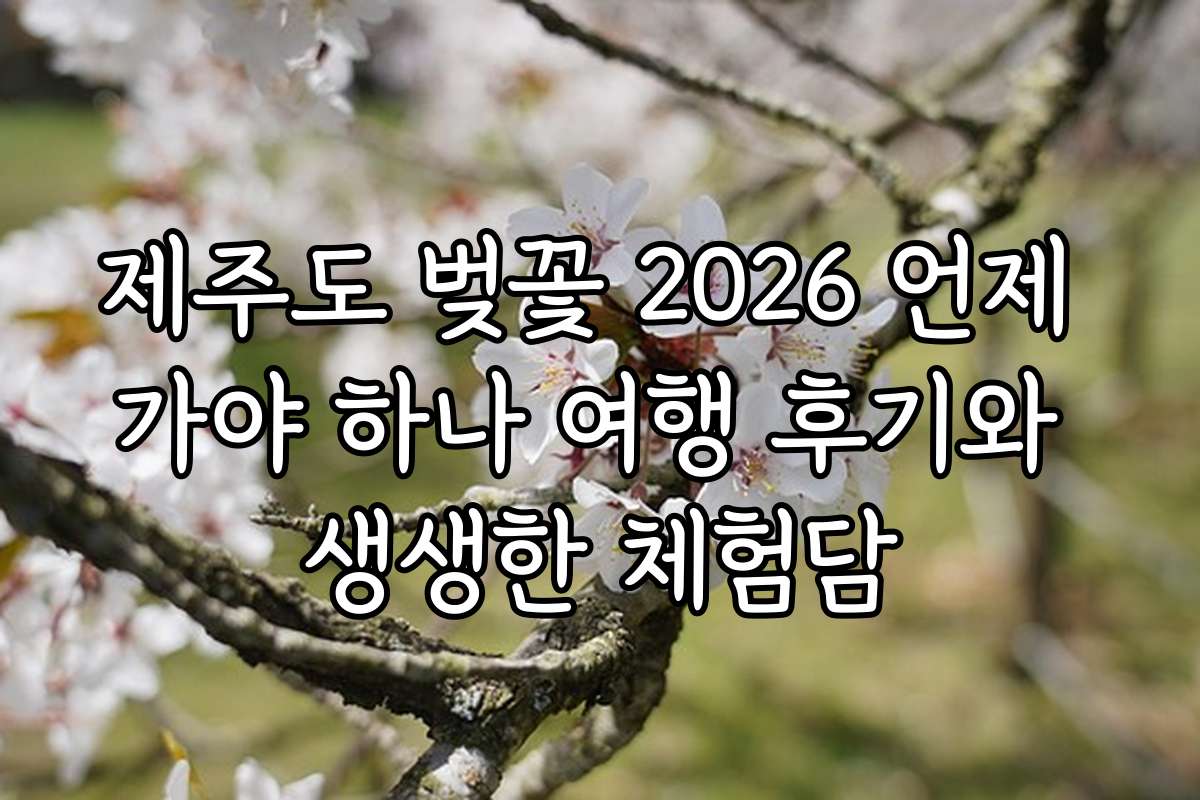 제주도 벚꽃 2026 언제 가야 하나 여행 후기와 생생한 체험담