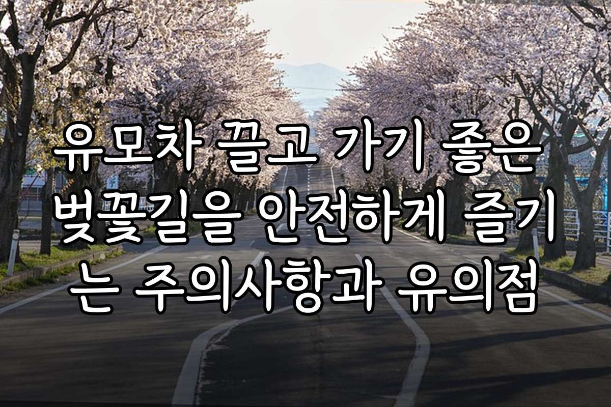 유모차 끌고 가기 좋은 벚꽃길을 안전하게 즐기는 주의사항과 유의점