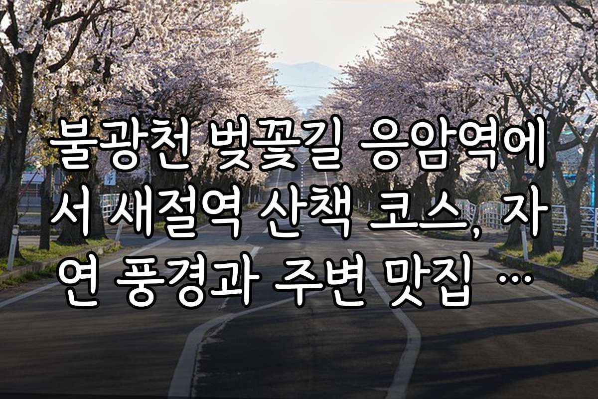불광천 벚꽃길 응암역에서 새절역 산책 코스, 자연 풍경과 주변 맛집 탐방 후기