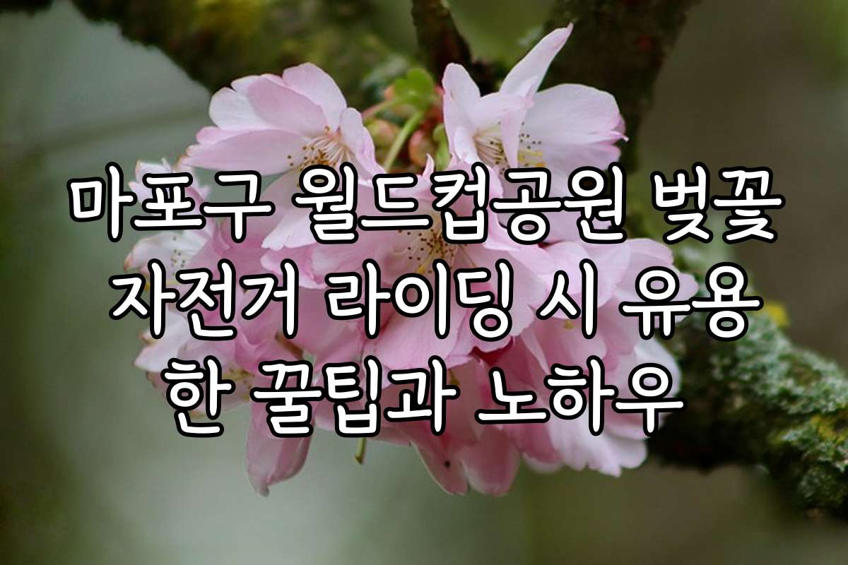 마포구 월드컵공원 벚꽃 자전거 라이딩 시 유용한 꿀팁과 노하우
