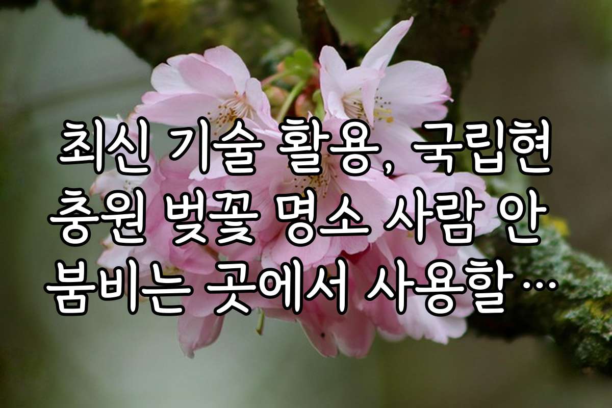 최신 기술 활용, 국립현충원 벚꽃 명소 사람 안 붐비는 곳에서 사용할 앱과 도구 소개