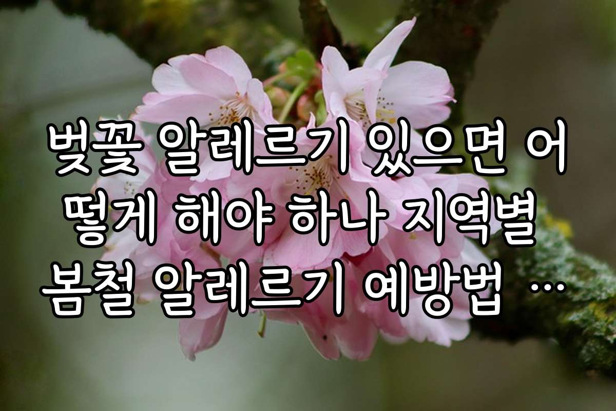 벚꽃 알레르기 있으면 어떻게 해야 하나 지역별 봄철 알레르기 예방법 추천
