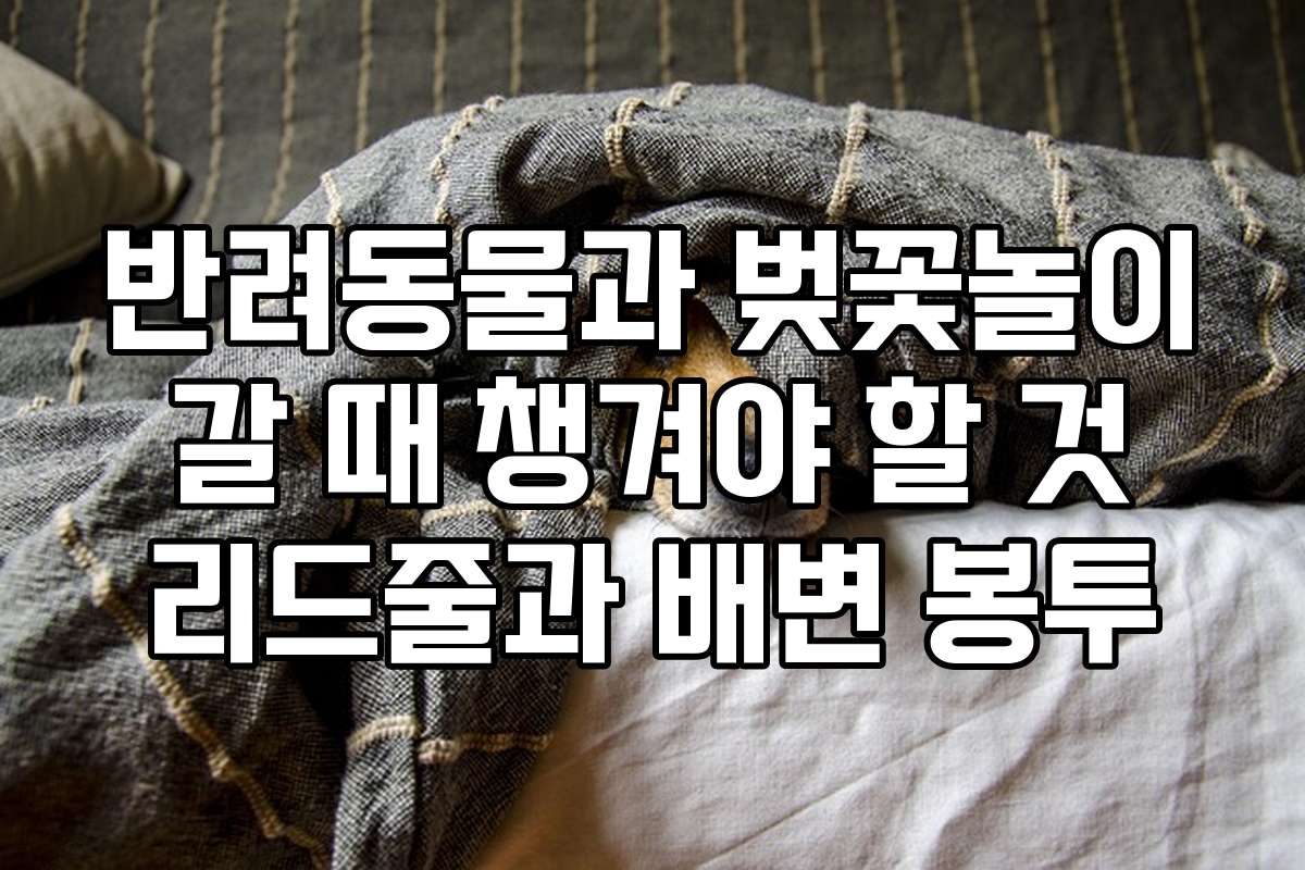 반려동물과 벚꽃놀이 갈 때 챙겨야 할 것 리드줄과 배변 봉투