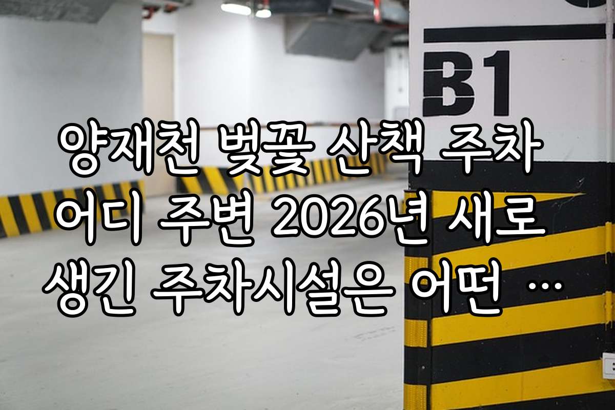 양재천 벚꽃 산책 주차 어디 주변 2026년 새로 생긴 주차시설은 어떤 게 있을까