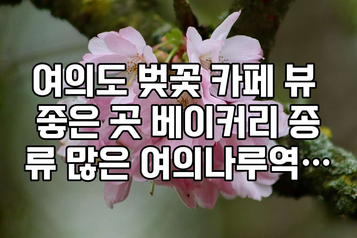 여의도 벚꽃 카페 뷰 좋은 곳 베이커리 종류 많은 여의나루역 근처