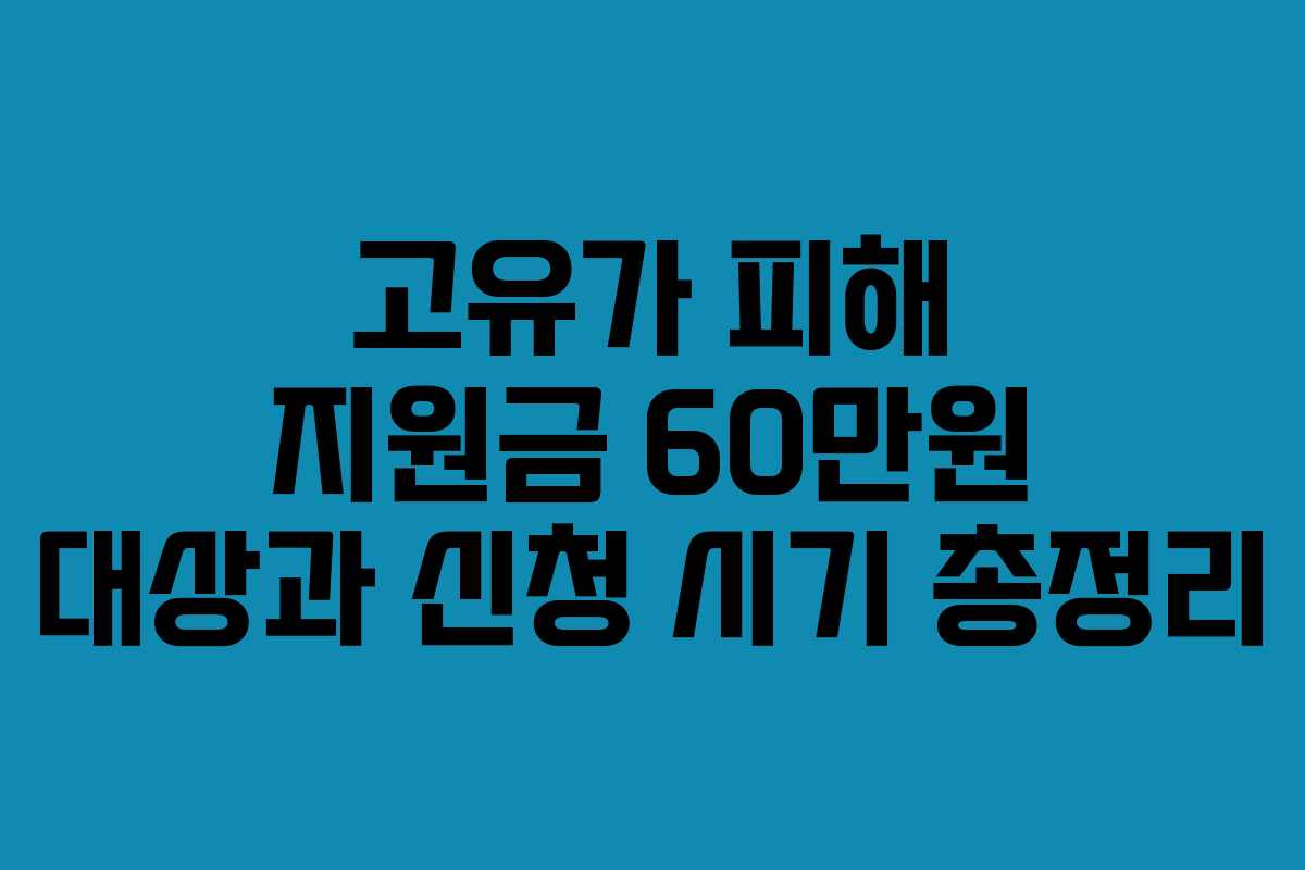 고유가 피해 지원금 60만원 대상과 신청 시기 총정리