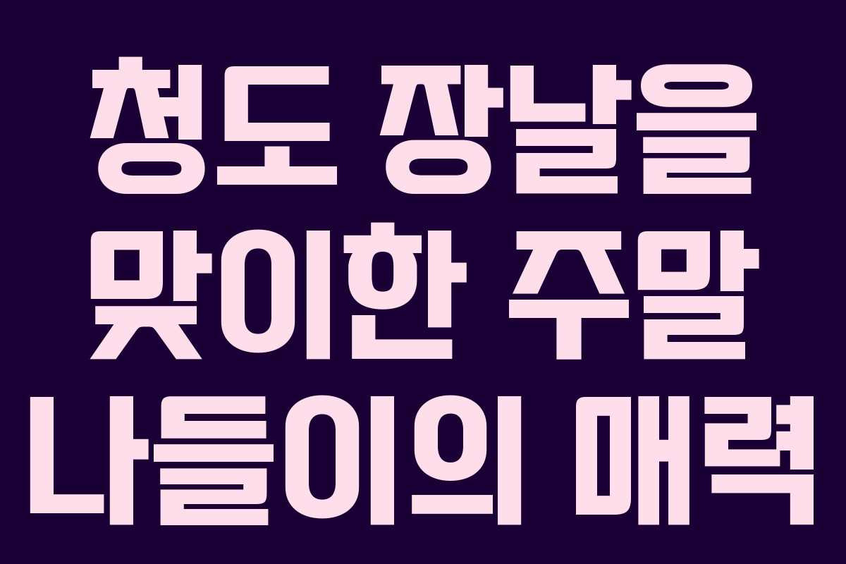 청도 장날을 맞이한 주말 나들이의 매력