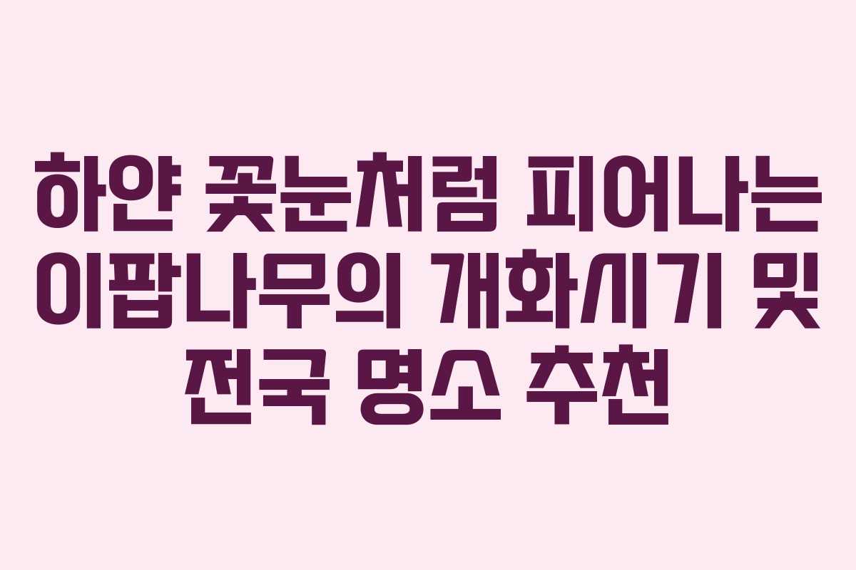 하얀 꽃눈처럼 피어나는 이팝나무의 개화시기 및 전국 명소 추천