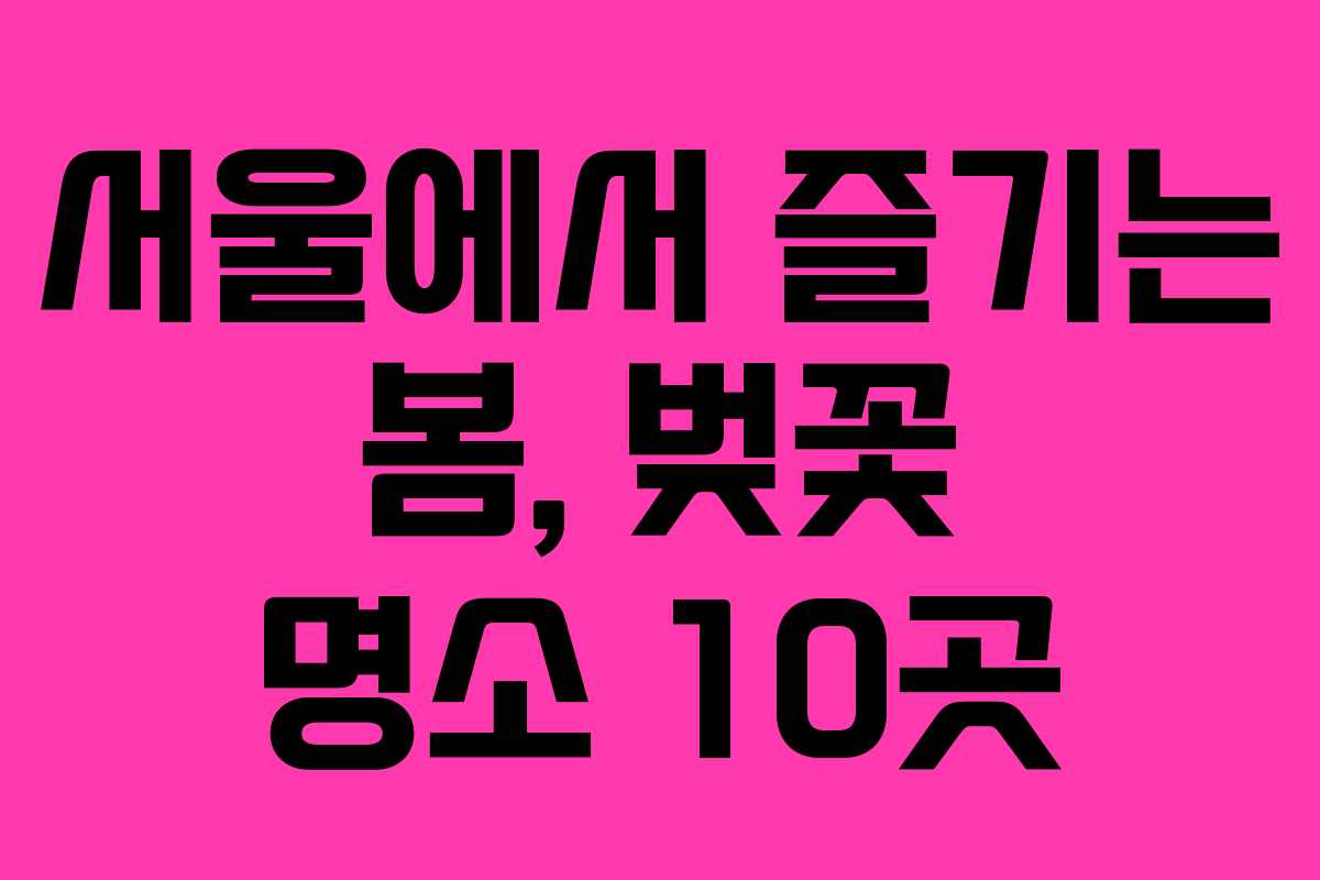 서울에서 즐기는 봄, 벚꽃 명소 10곳