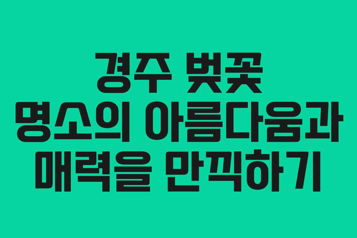 경주 벚꽃 명소의 아름다움과 매력을 만끽하기