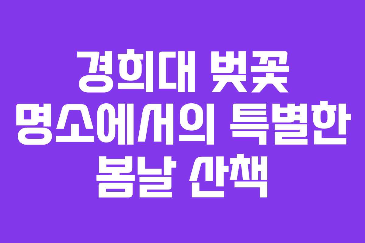 경희대 벚꽃 명소에서의 특별한 봄날 산책