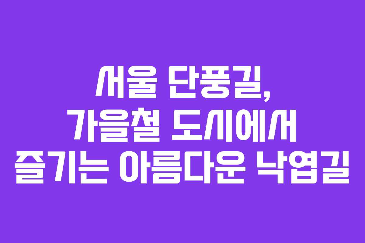 서울 단풍길, 가을철 도시에서 즐기는 아름다운 낙엽길
