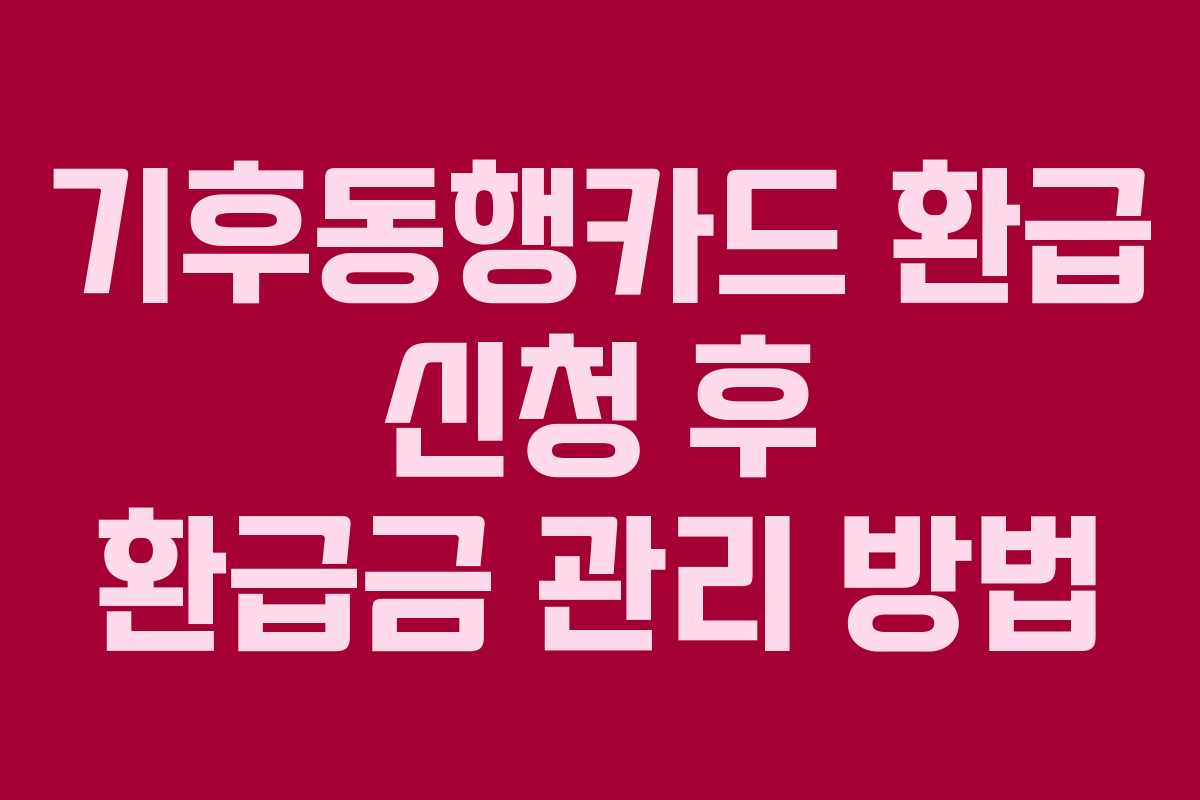 기후동행카드 환급 신청 후 환급금 관리 방법
