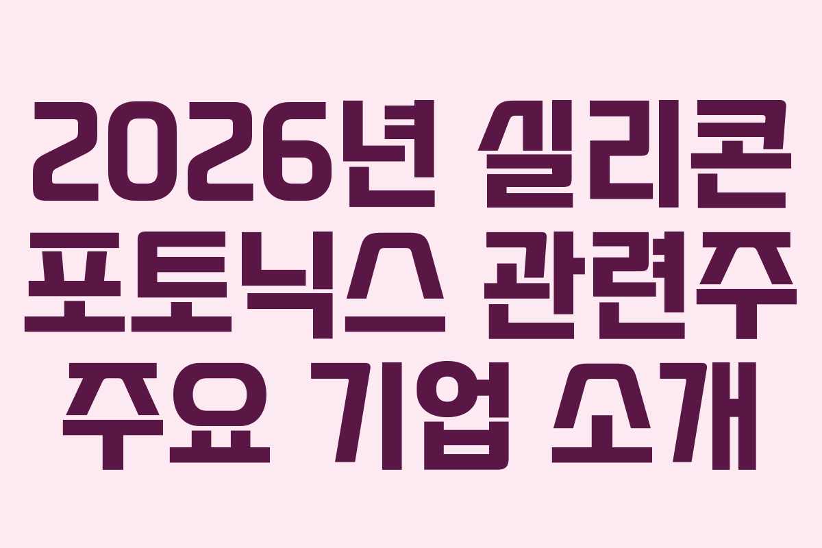 2026년 실리콘 포토닉스 관련주 주요 기업 소개