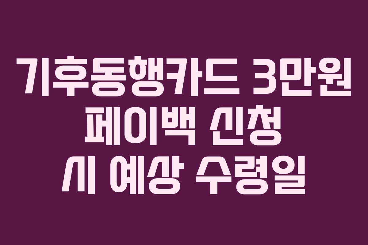 기후동행카드 3만원 페이백 신청 시 예상 수령일