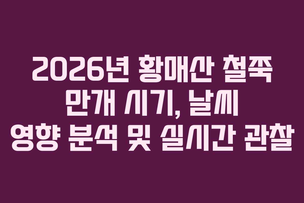 2026년 황매산 철쭉 만개 시기, 날씨 영향 분석 및 실시간 관찰