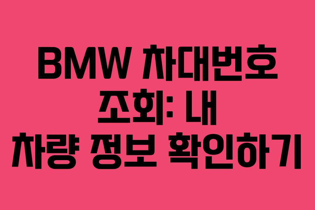 BMW 차대번호 조회: 내 차량 정보 확인하기