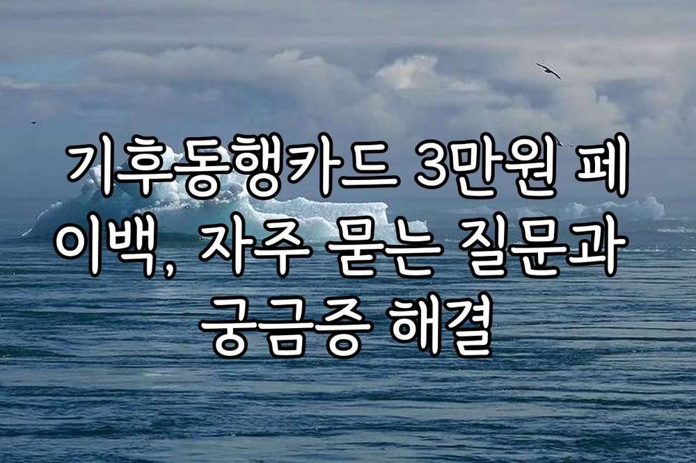 기후동행카드 3만원 페이백, 자주 묻는 질문과 궁금증 해결