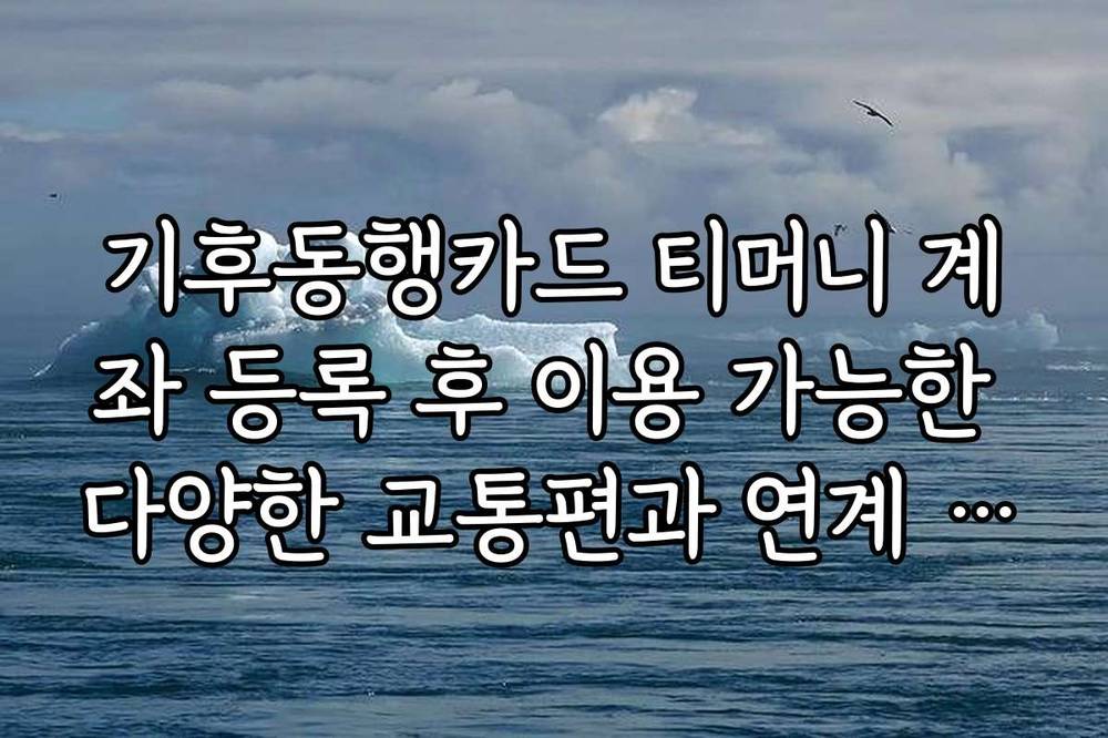 기후동행카드 티머니 계좌 등록 후 이용 가능한 다양한 교통편과 연계 서비스 소개