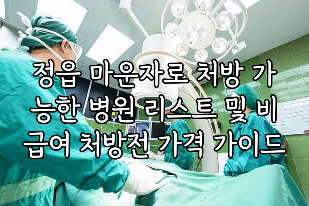 정읍 마운자로 처방 가능한 병원 리스트 및 비급여 처방전 가격 가이드