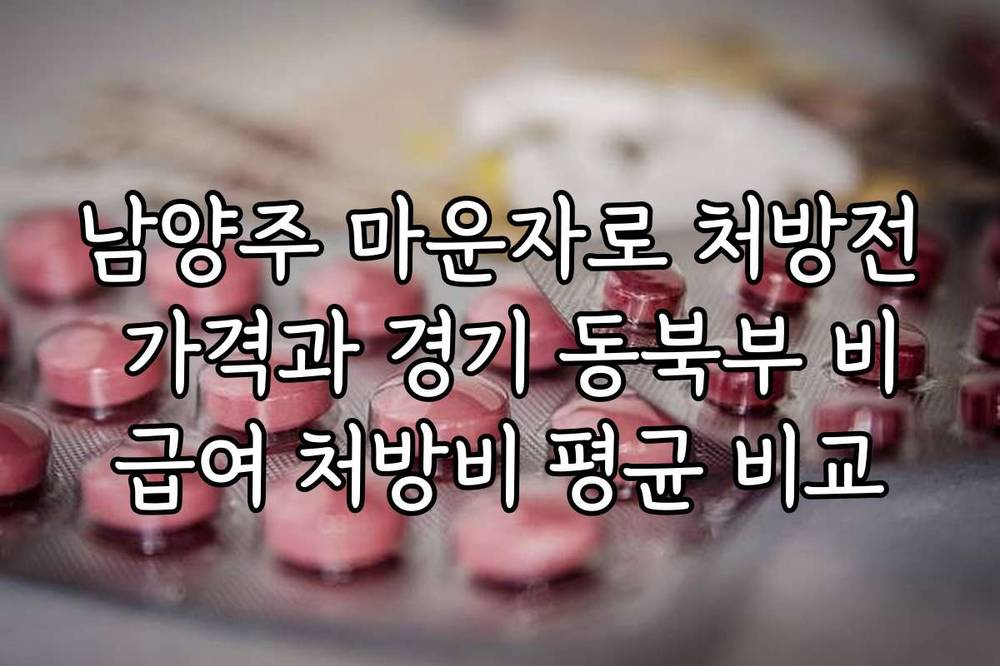 남양주 마운자로 처방전 가격과 경기 동북부 비급여 처방비 평균 비교