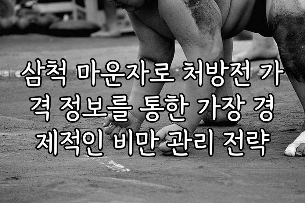 삼척 마운자로 처방전 가격 정보를 통한 가장 경제적인 비만 관리 전략