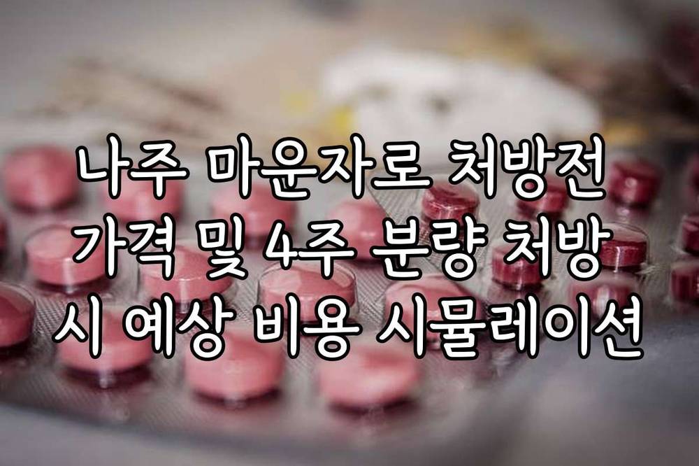 나주 마운자로 처방전 가격 및 4주 분량 처방 시 예상 비용 시뮬레이션