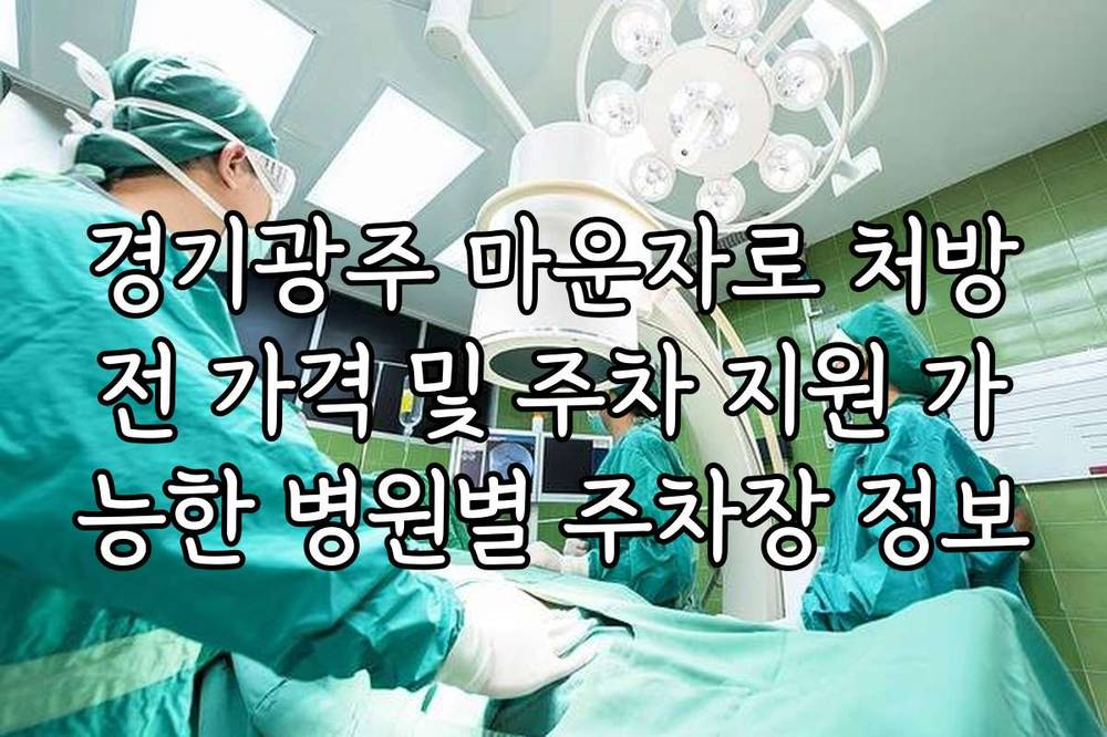 경기광주 마운자로 처방전 가격 및 주차 지원 가능한 병원별 주차장 정보