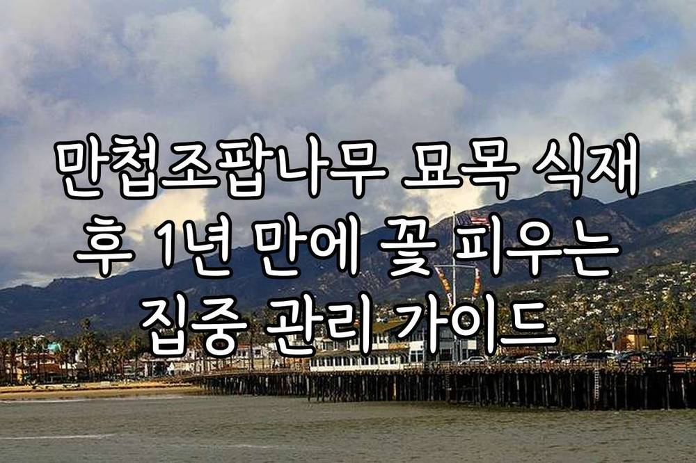 만첩조팝나무 묘목 식재 후 1년 만에 꽃 피우는 집중 관리 가이드