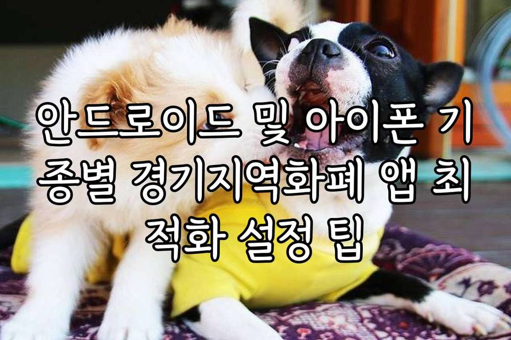 안드로이드 및 아이폰 기종별 경기지역화폐 앱 최적화 설정 팁