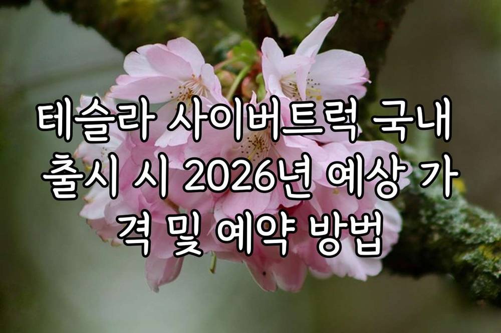 테슬라 사이버트럭 국내 출시 시 2026년 예상 가격 및 예약 방법