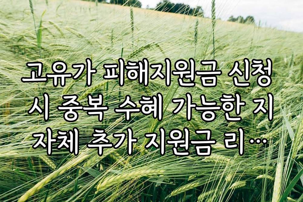 고유가 피해지원금 신청 시 중복 수혜 가능한 지자체 추가 지원금 리스트